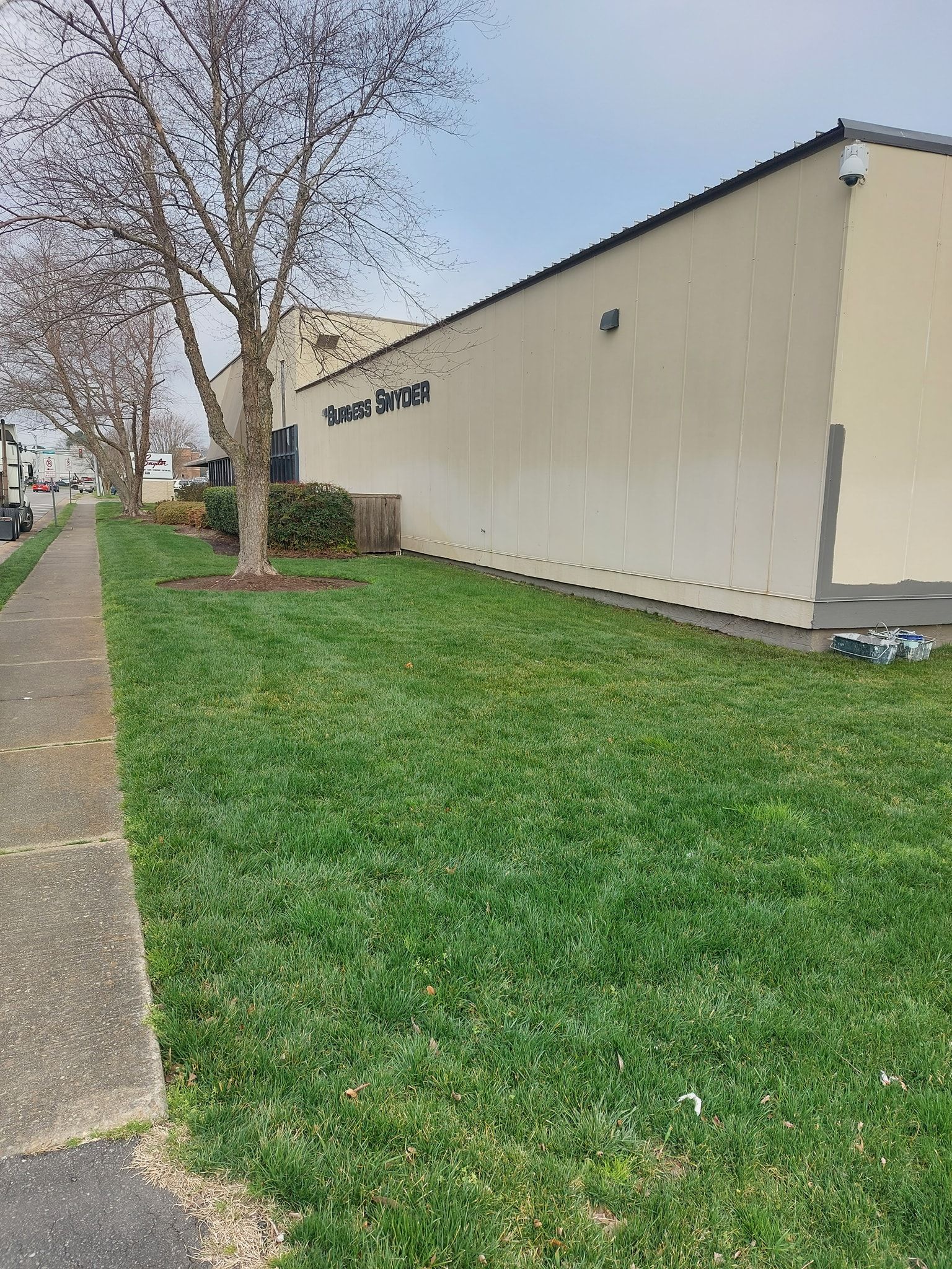 Sidewalk beside a beige building with a grassy strip and leafless tree in front