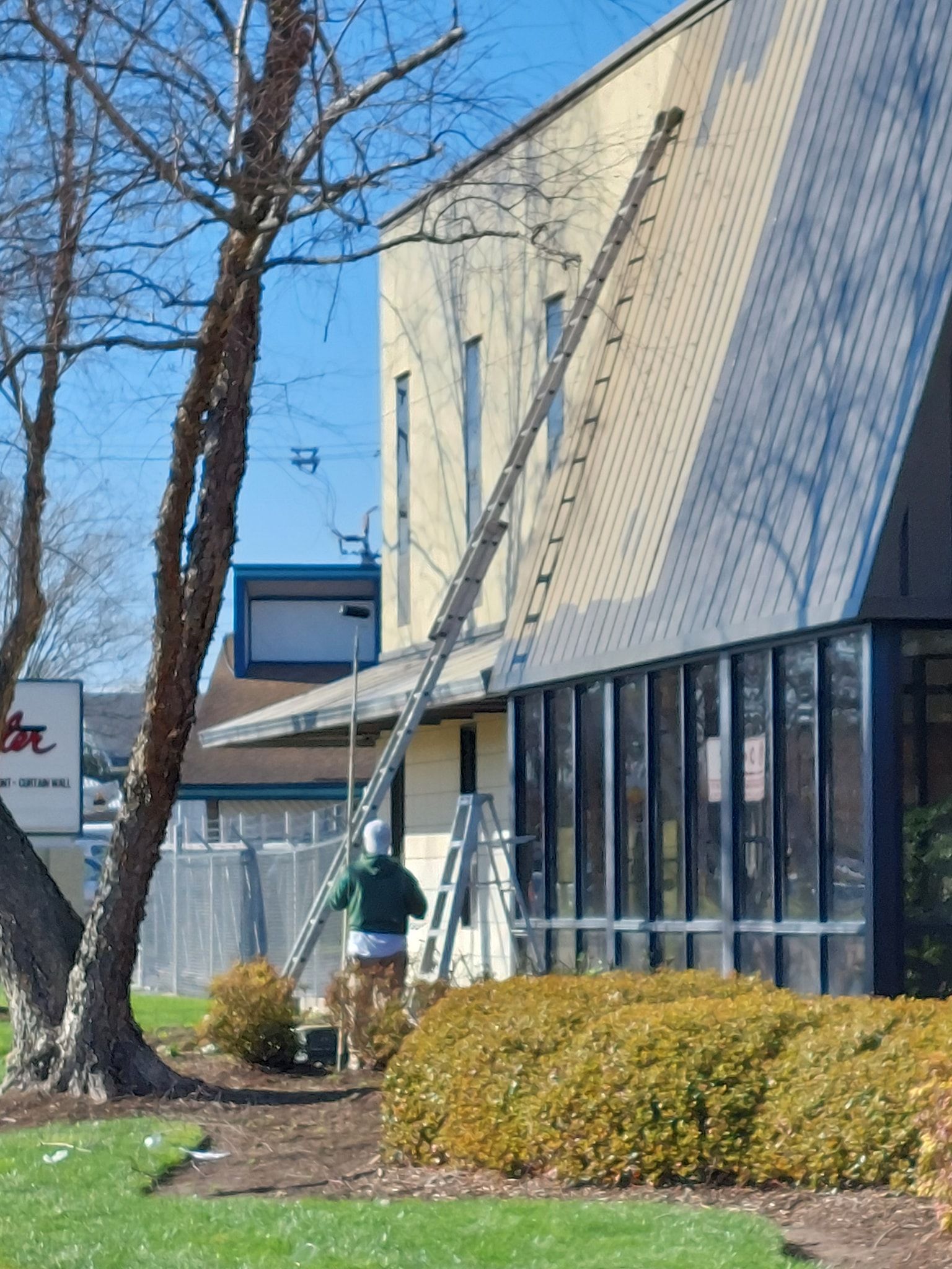 Person using a pole to clear snow on a beige building beside leafless trees and shrubs