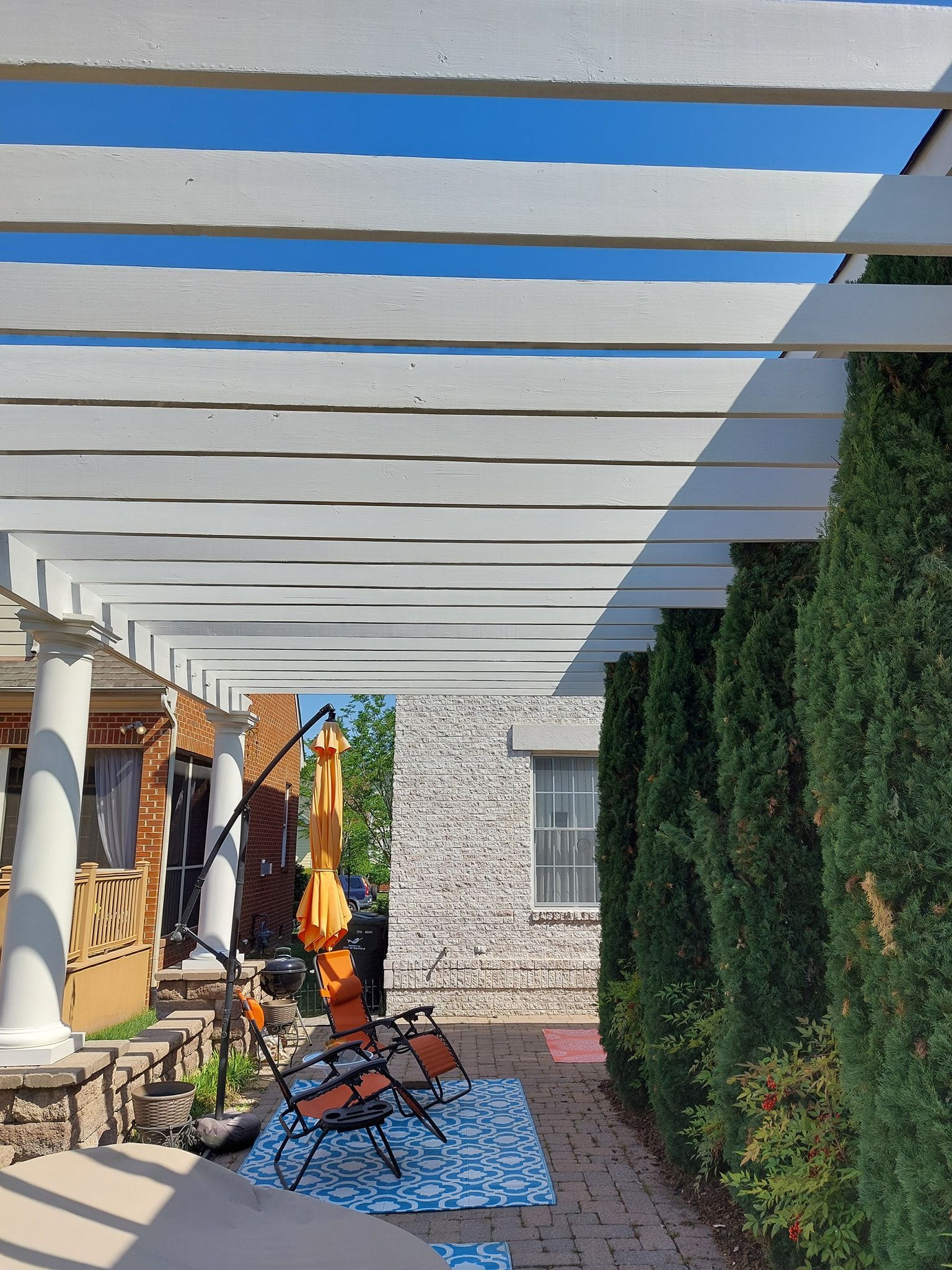 Covered patio with white pergola beams, cushioned chairs, blue rug, and tall green shrubs beside a stone wall