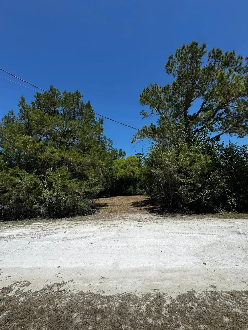 Dirt path leads into trees, flanked by greenery, under blue sky.