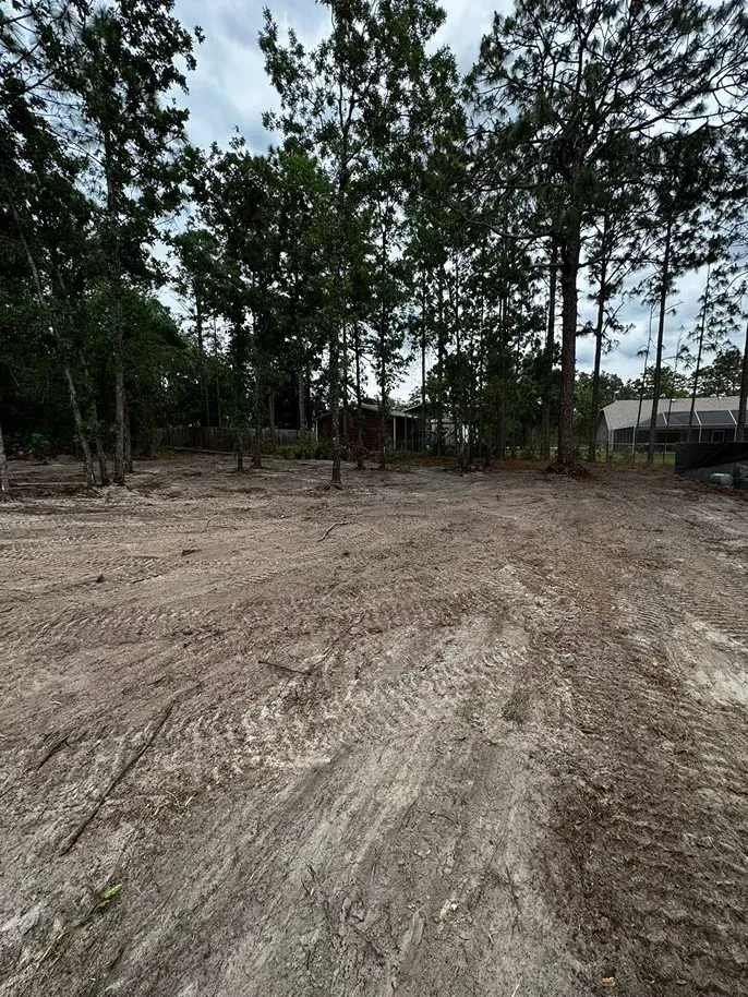Cleared dirt lot surrounded by tall trees; cloudy sky overhead.