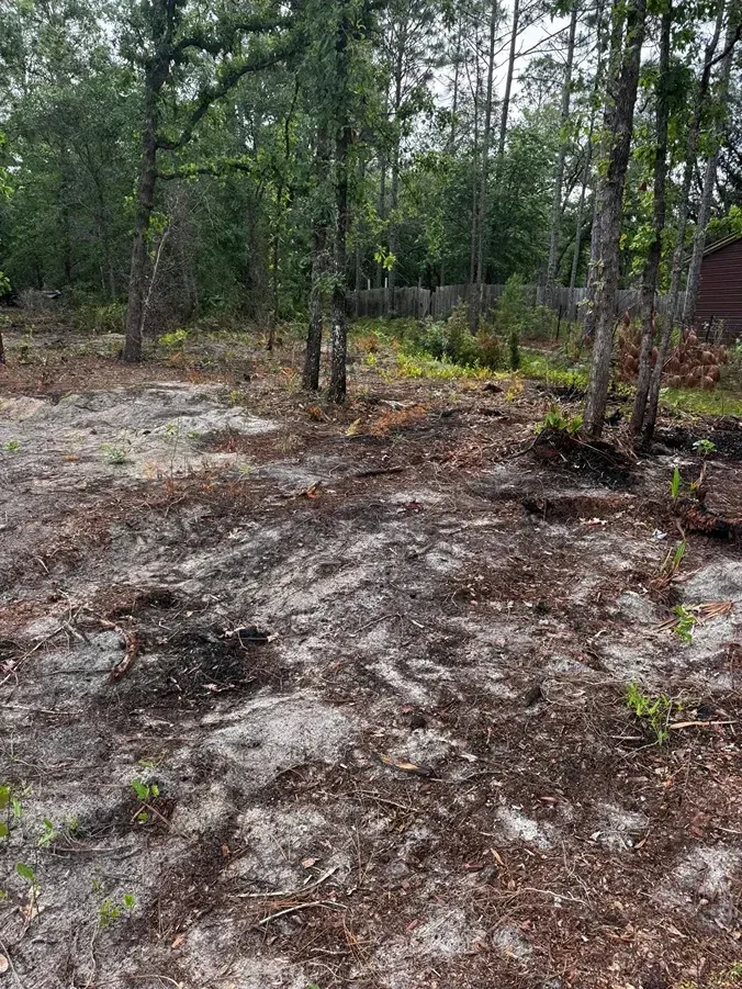 Cleared land with scattered debris and trees, set in a wooded area.