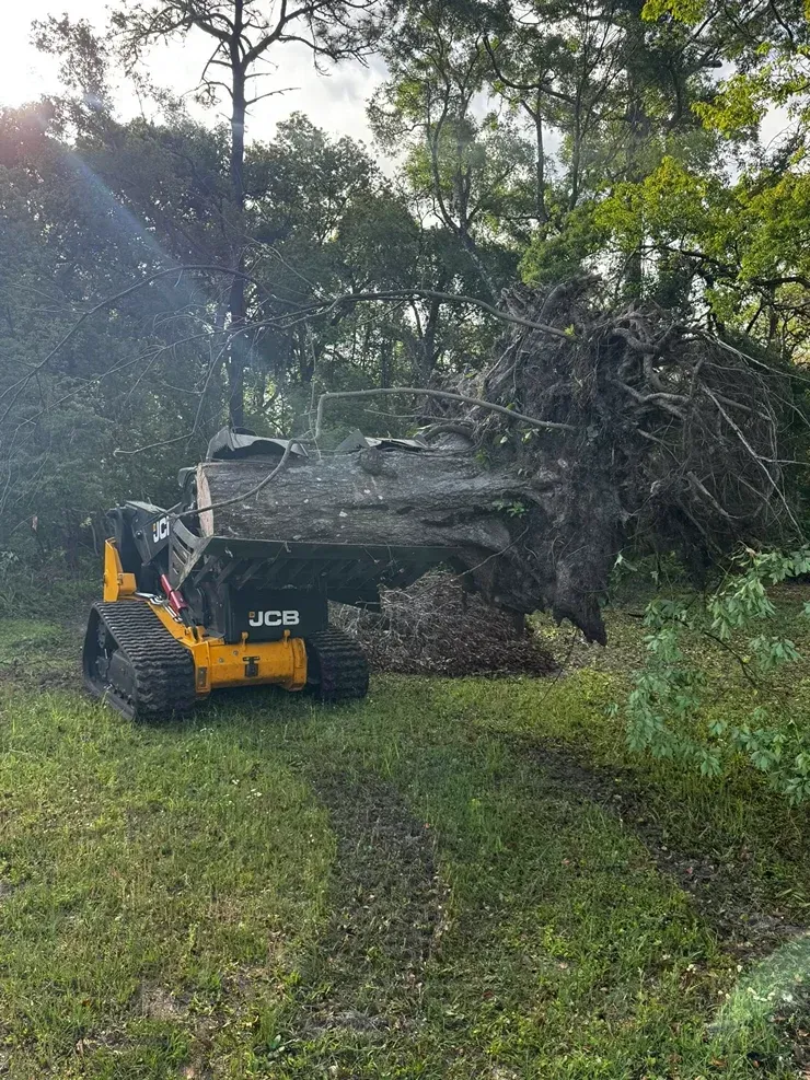 Yellow skid steer carrying a large fallen tree trunk in a grassy, wooded area.