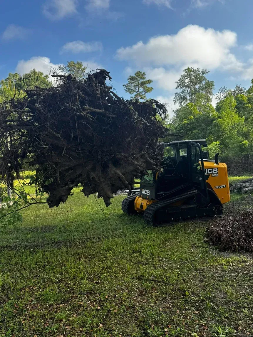 A small bulldozer lifts a large, uprooted tree. Green grass and trees in the background, under a partly cloudy sky.