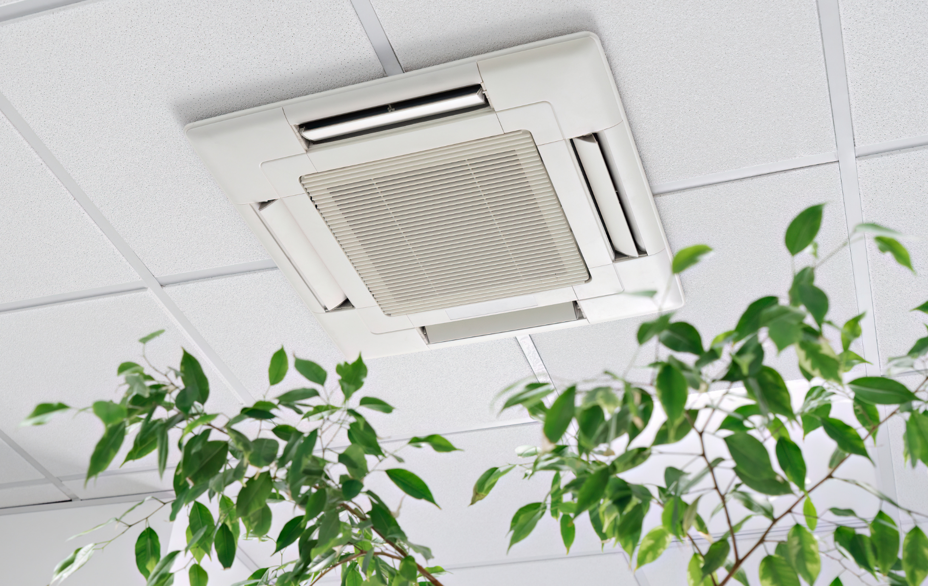 A ceiling fan with a plant growing out of it.