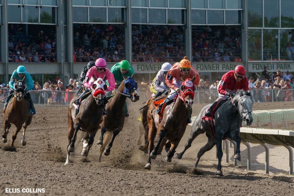 A group of horses are racing on a dirt track