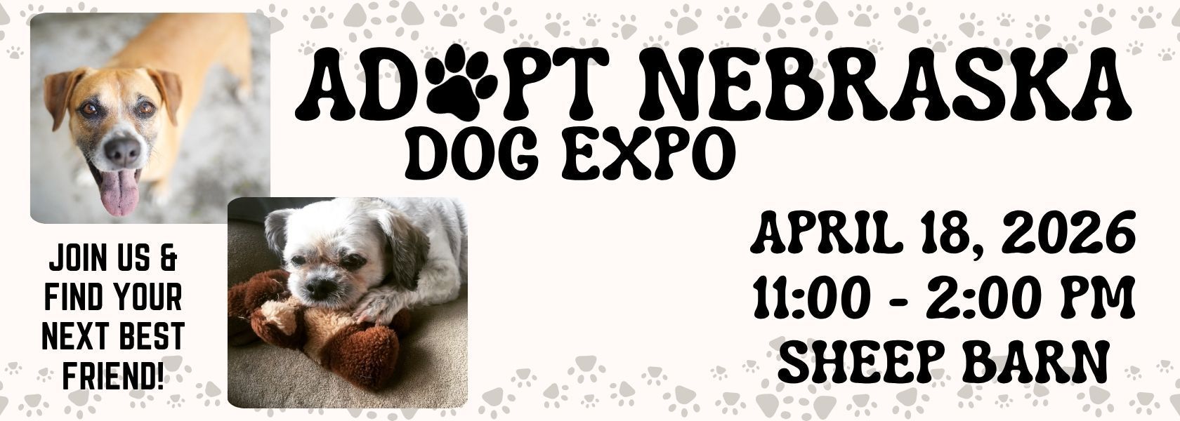 Adopt Nebraska Dog Expo