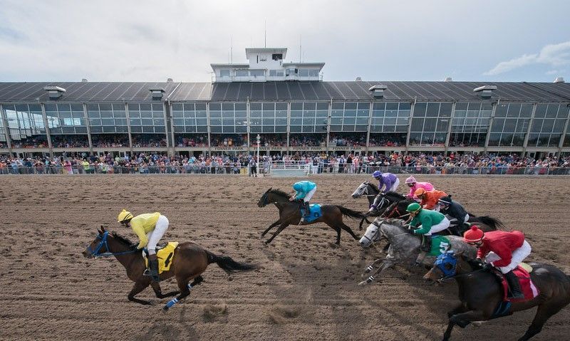 A group of horses are racing on a dirt track.