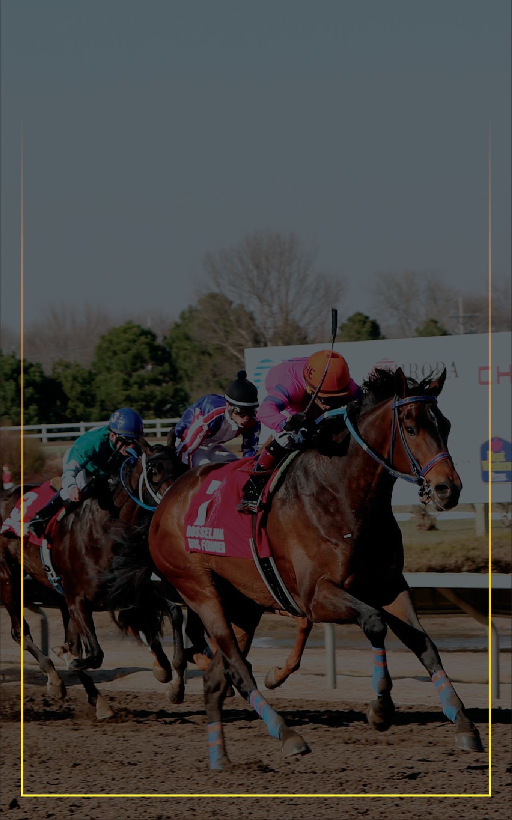 The Tondi Stakes