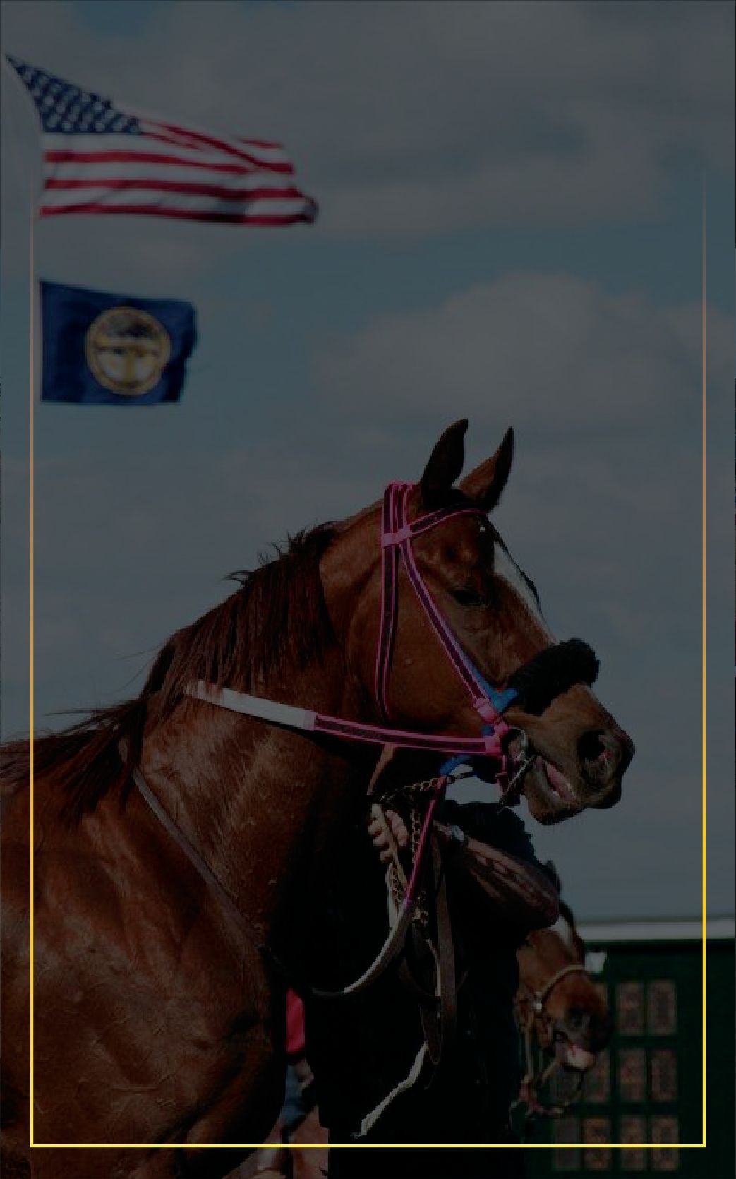 The Elite Sprint Cup