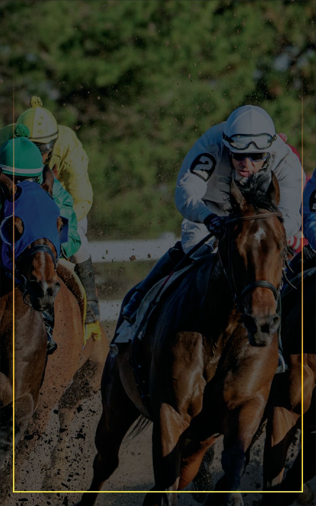 The Bosselman Pump & Pantry/Gus Fonner Stakes