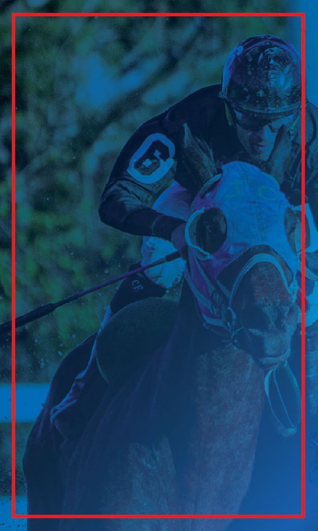 A jockey is riding a horse in a race.