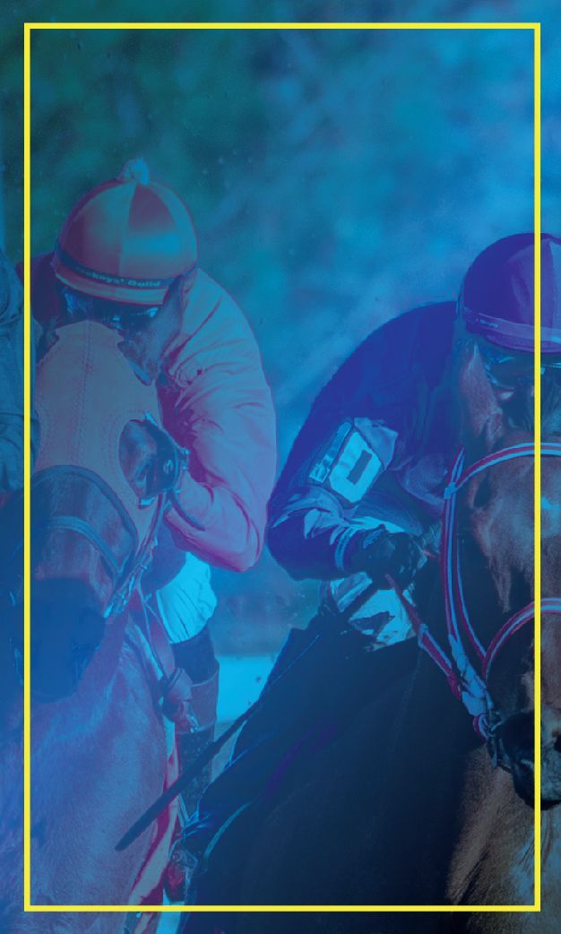 Two jockeys are riding horses in a race.