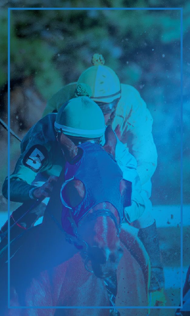 A group of jockeys are riding horses in a race.