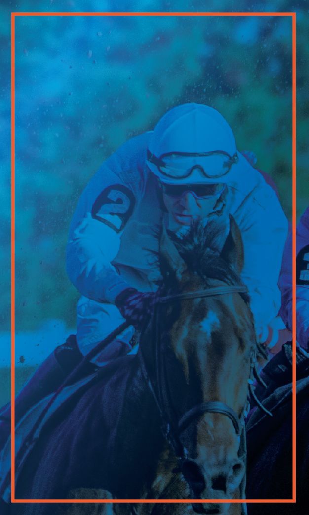 A jockey is riding a horse in a race.