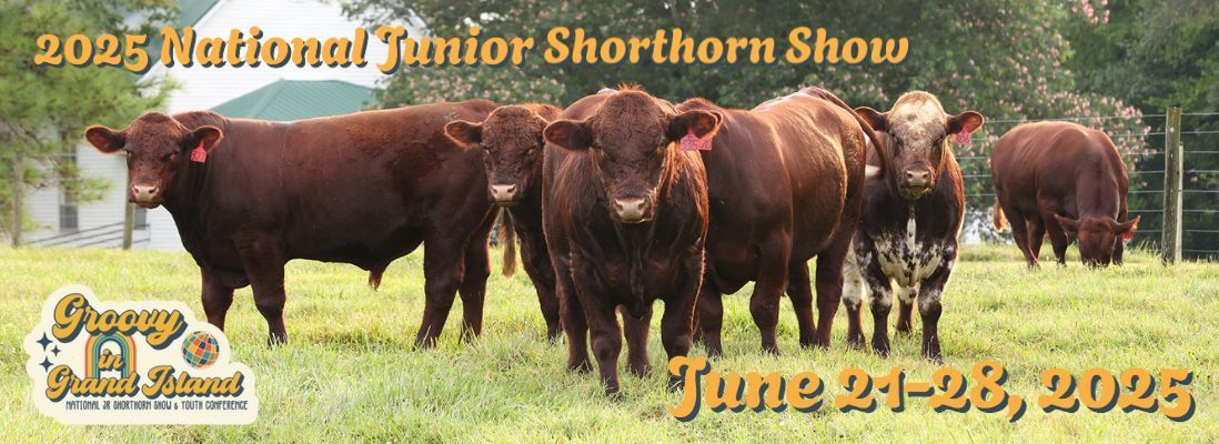 2025 National Junior Shorthorn Show
