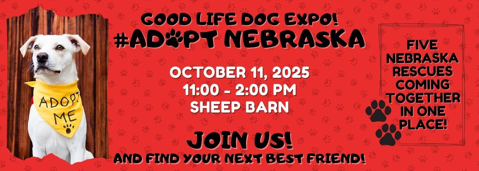 Good Life Dog Expo