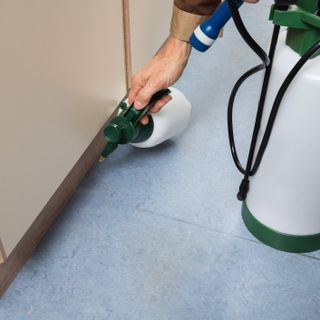 Pest Control — Upper Chichester, PA — DeRosa Exterminating