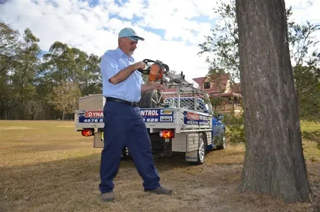 Drilling Tree — Glossodia, NSW — Dynamite Pest Control