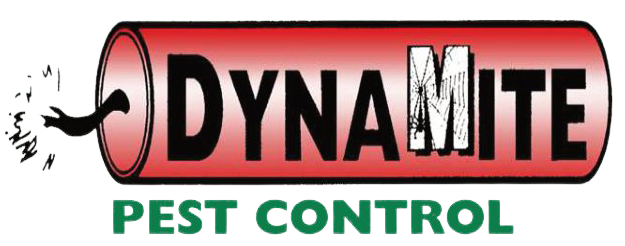 Dynamite Pest Control