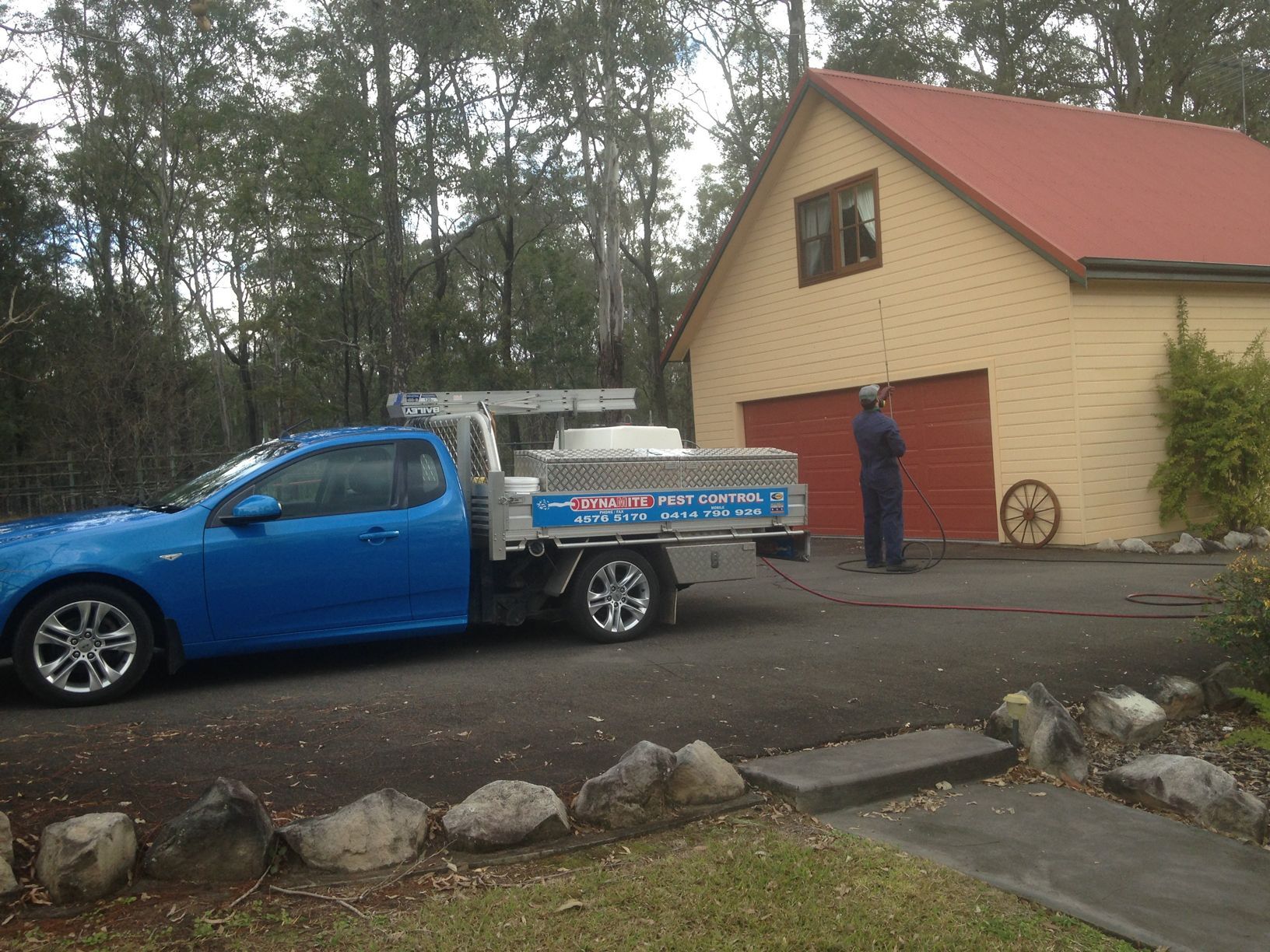 Blue Car — Glossodia, NSW — Dynamite Pest Control