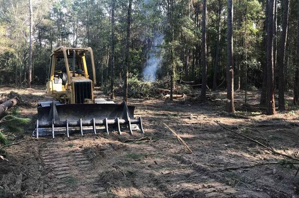 A bulldozer is cutting down trees in a forest.