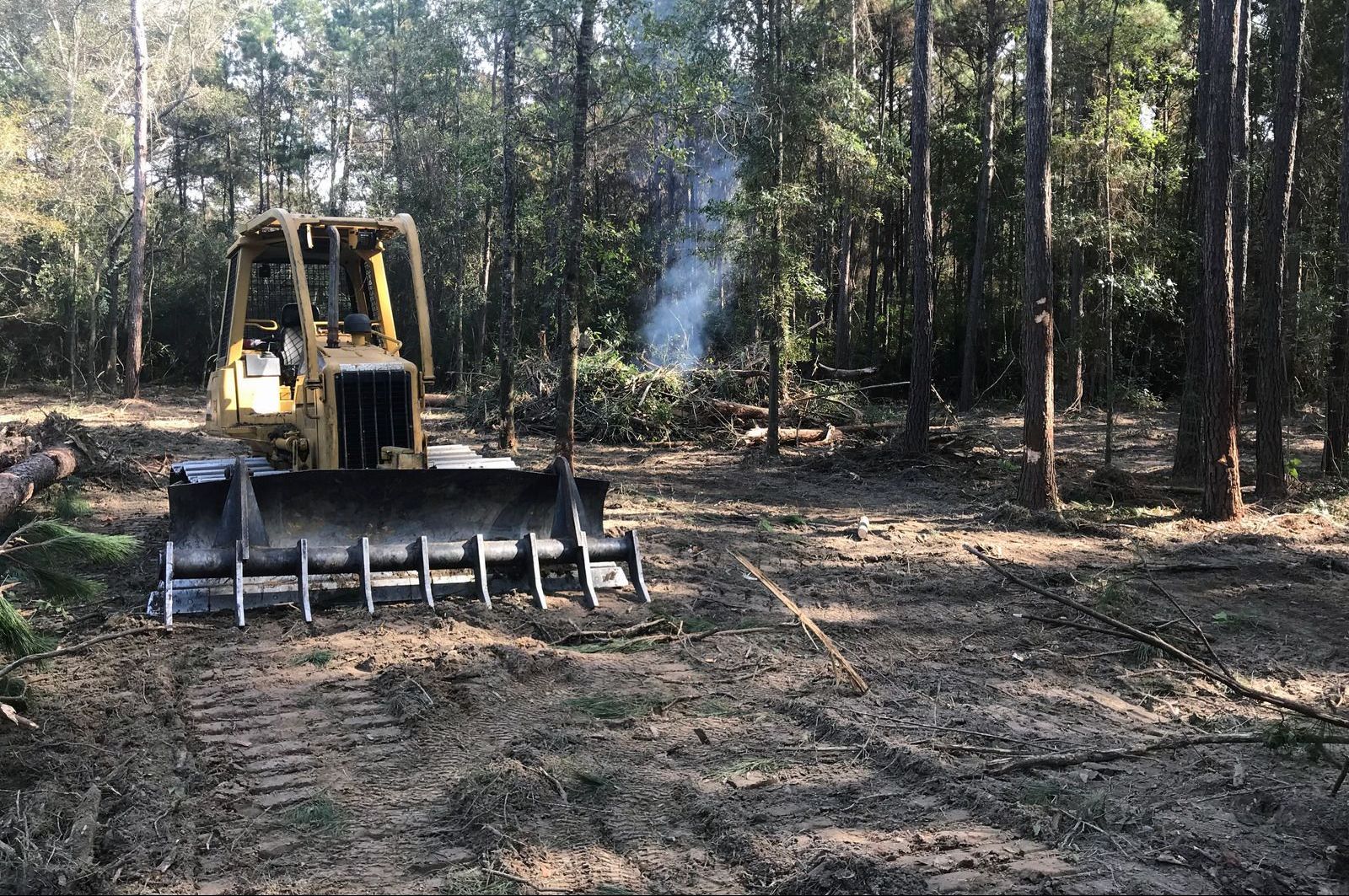 a bulldozer is in the middle of a forest in Pawley's Island, South Carolina