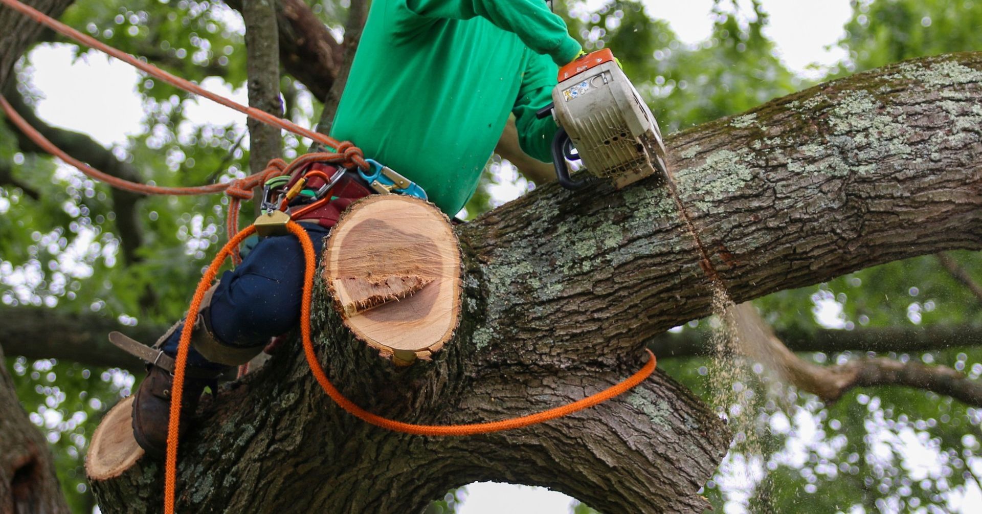 A man is cutting a tree branch with a chainsaw.