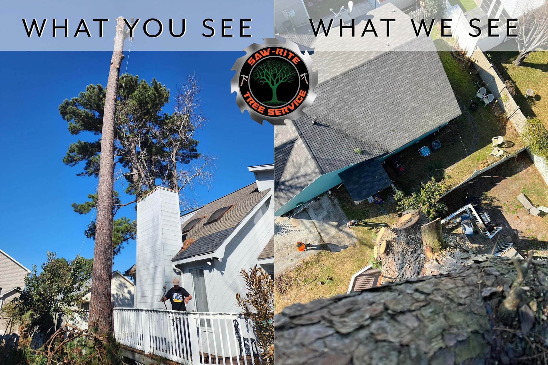 A picture of a tree being cut down next to a house.