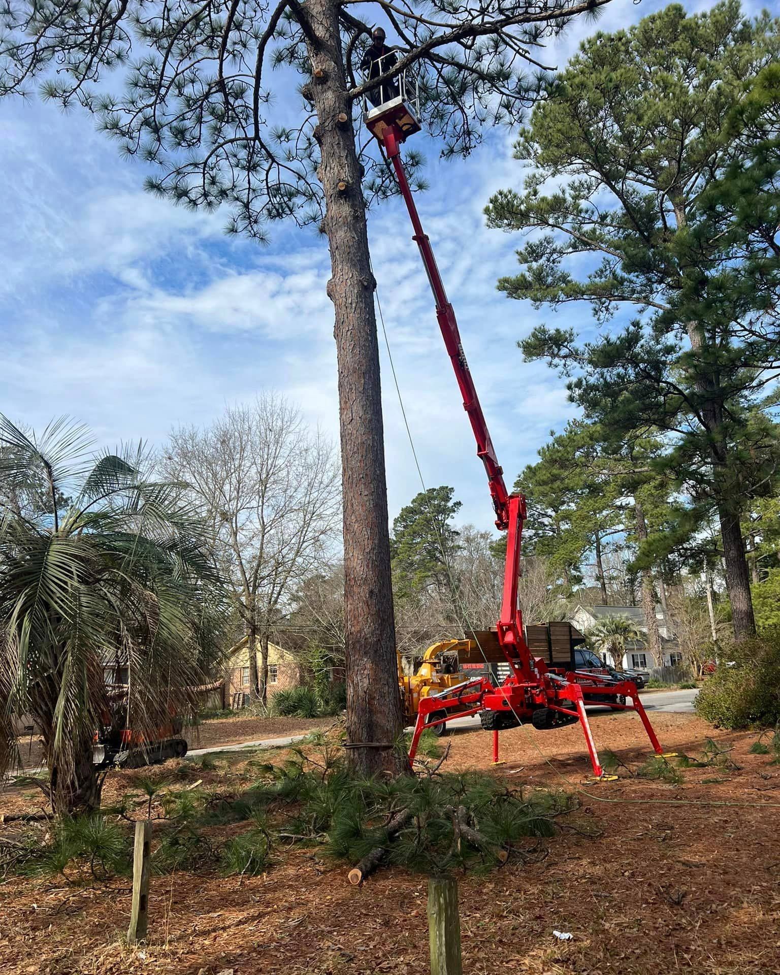A red crane is cutting a tree in a park.