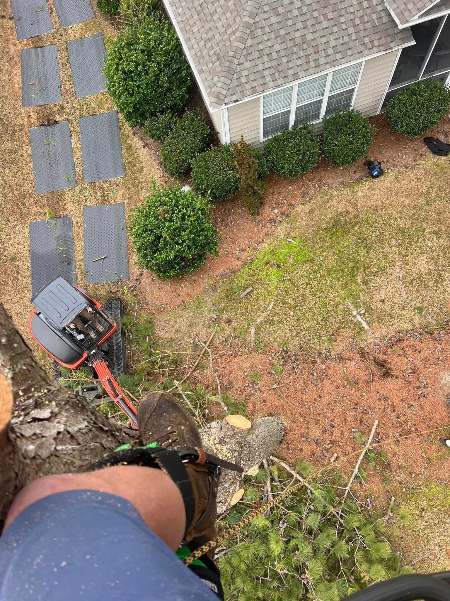 A person is standing on a tree stump in front of a house.