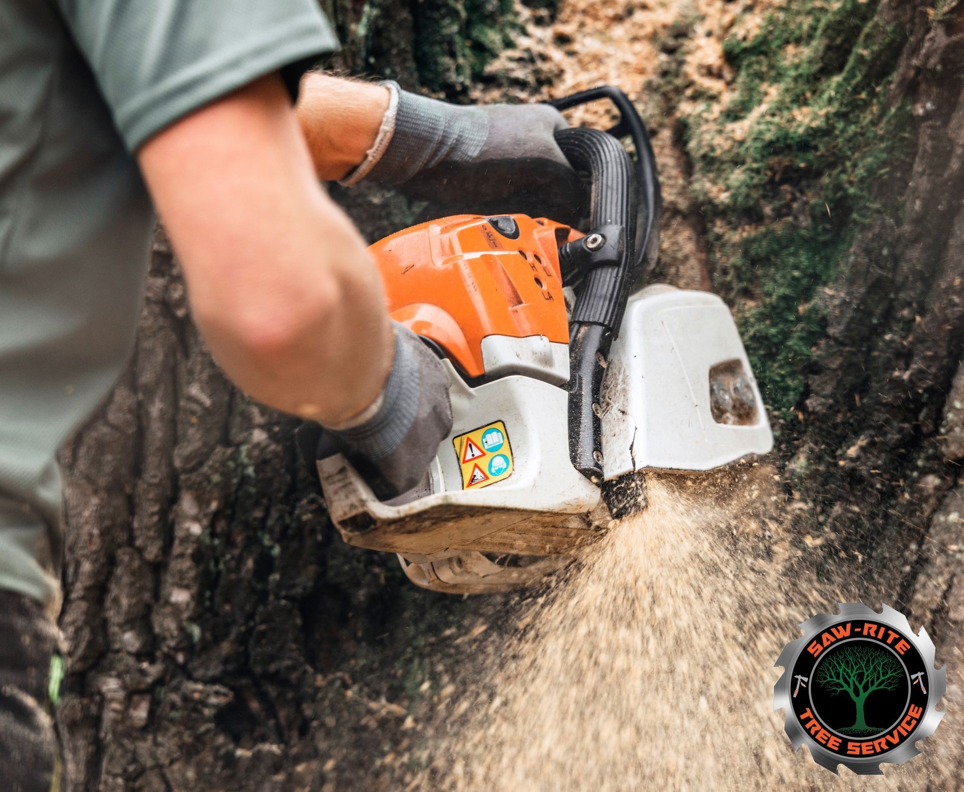 A man is using a chainsaw to cut a tree.