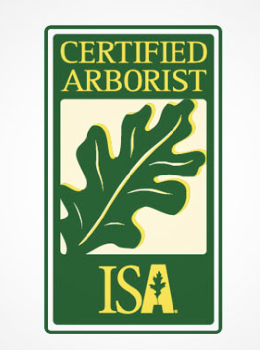 A certified arborist isa logo with an oak leaf