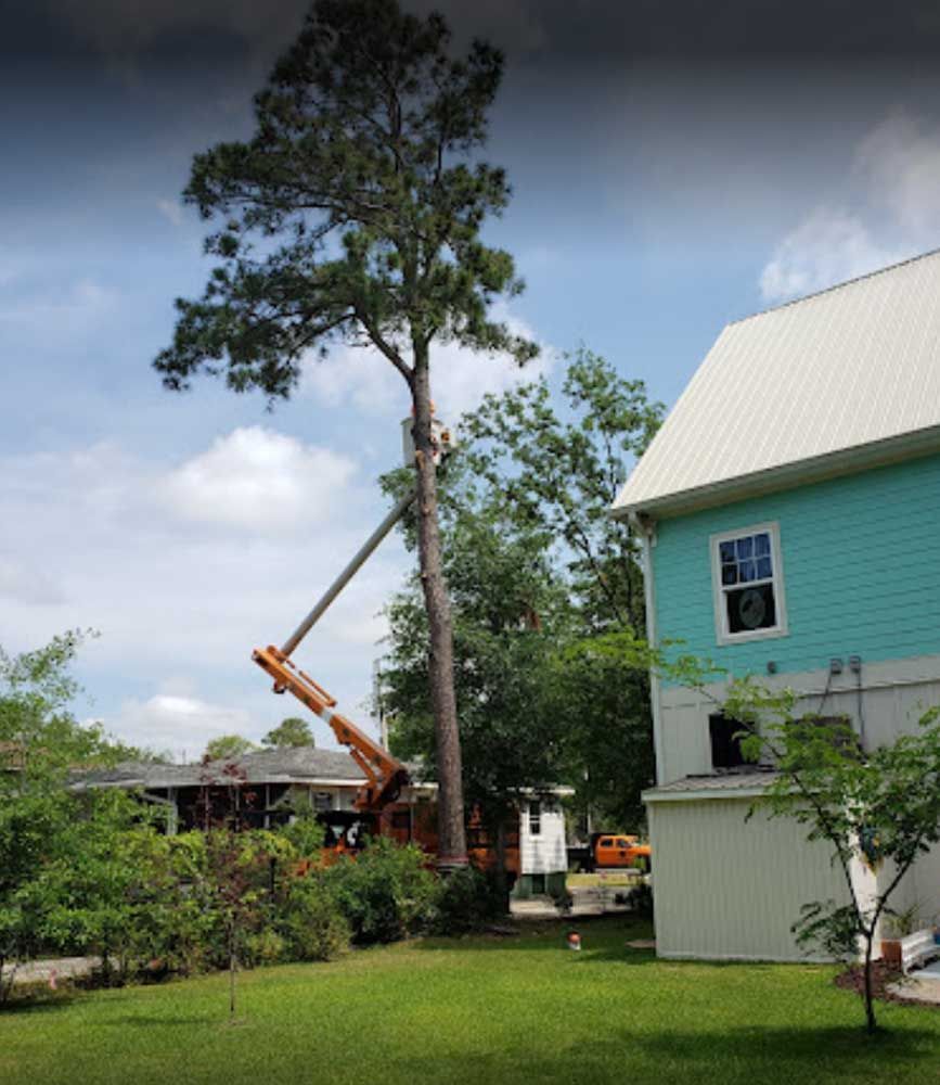 A tree is being cut down by a crane in front of a house.