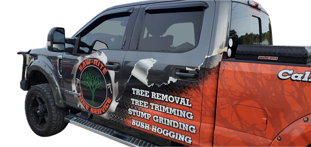 a black and orange truck that says tree removal tree trimming stump grinding bush hogging in Myrtle Beach, South Carolina