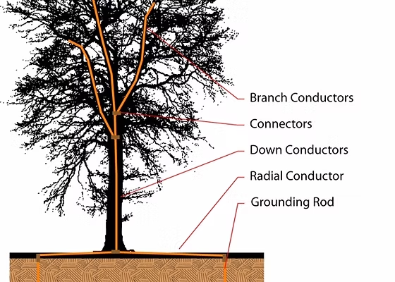 A diagram of a tree with connectors , down conductors , radial conductors , and grounding rod.