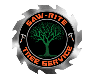 a logo for saw-rite tree service with a tree in the center