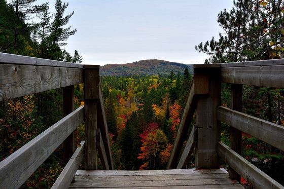 Plateforme d'observation en bois avec feuillage d'automne et collines au loin.