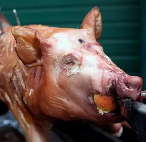RedPoppy Catering, Inverness, Highlands A pig is being cooked on a spit with an apple in its mouth.