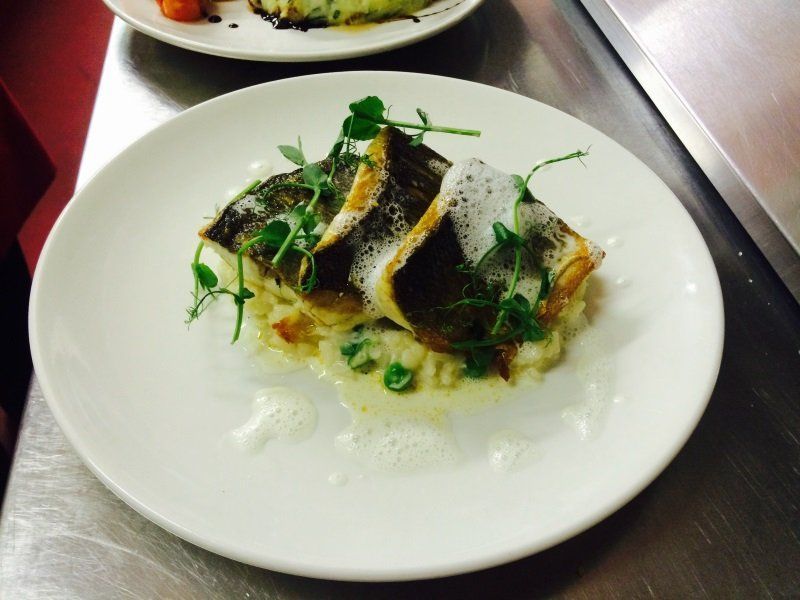 A white plate with a piece of fish on it