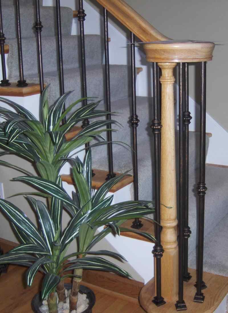 A potted plant sits on the steps of a staircase