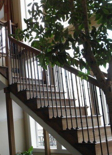 A staircase with a tree in the middle of it