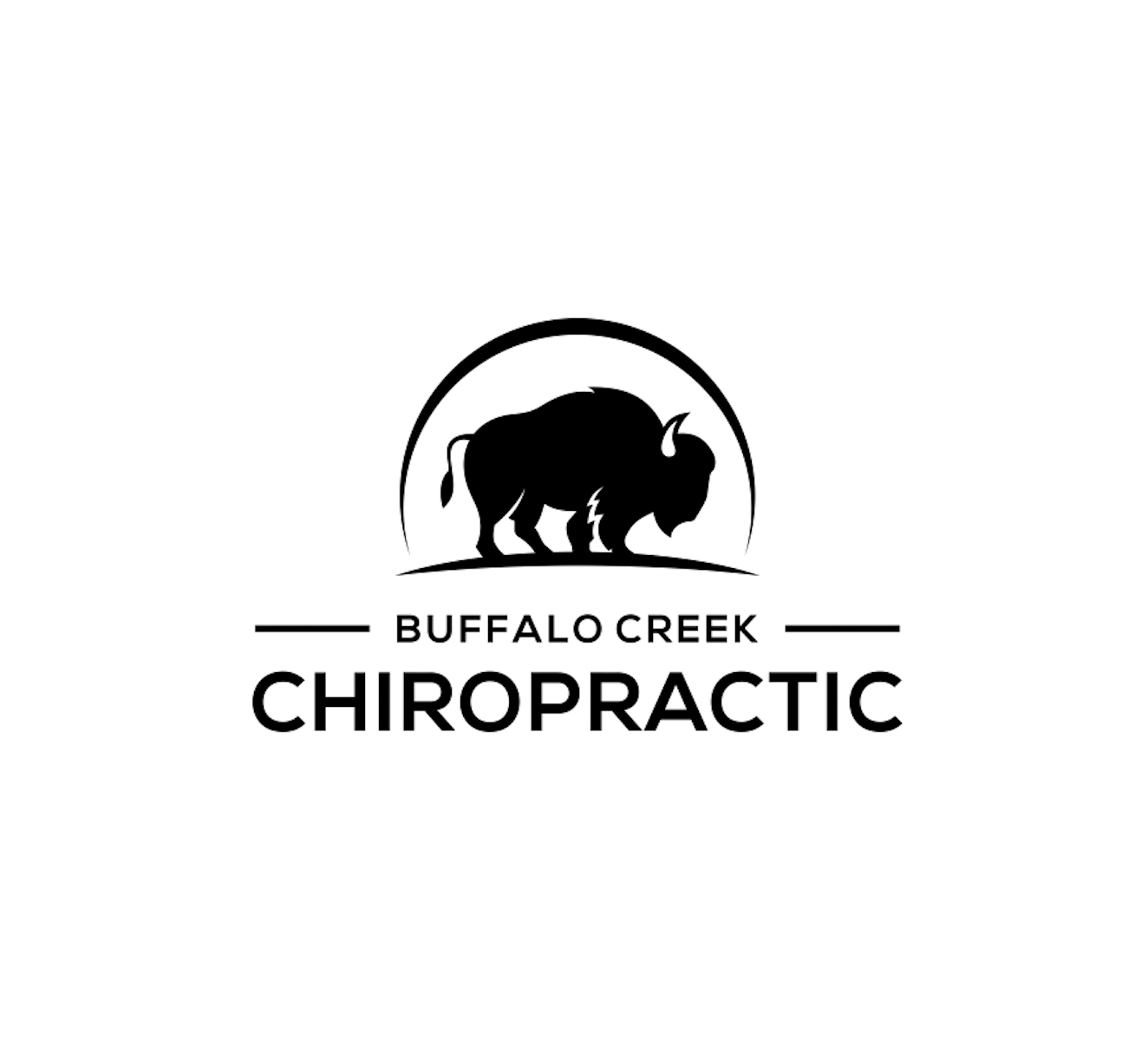 Chiropractor West Seneca Buffalo Creek Chiropractic