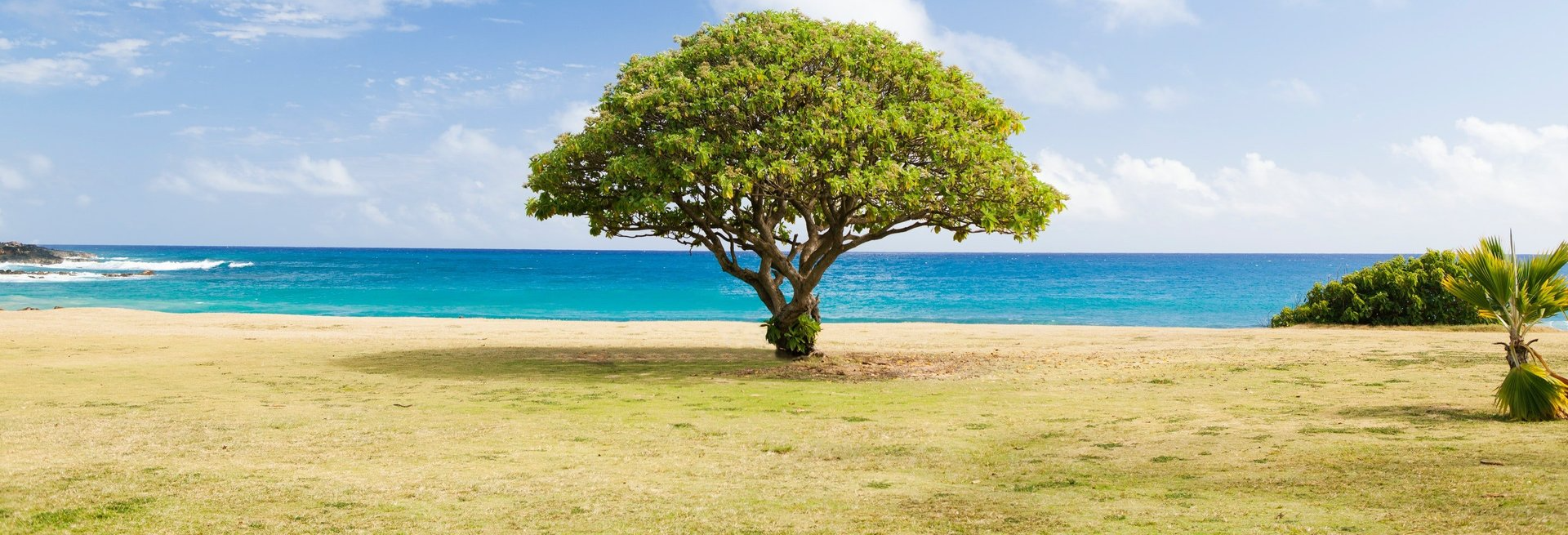 meridian labs organic testing wichita ks