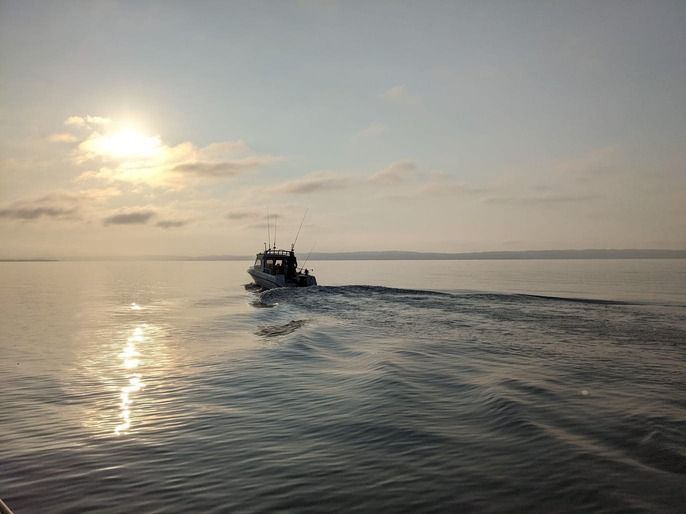 Boat running smoothly after expert Outboard repair service