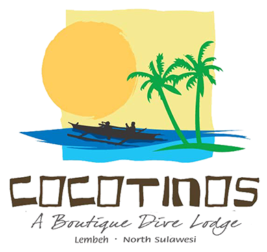 A logo for cocotinos a boutique dive resort & spa