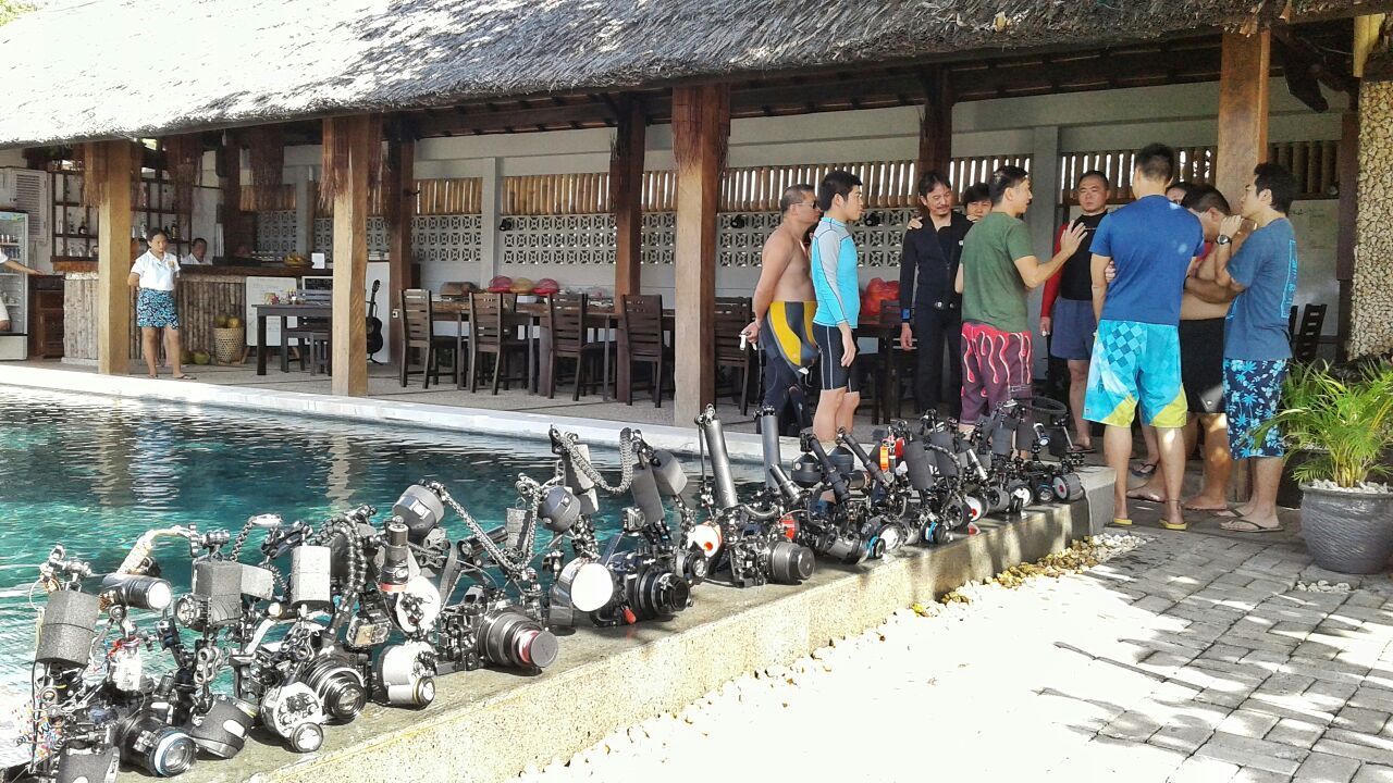 A group of people are standing in front of a swimming pool.