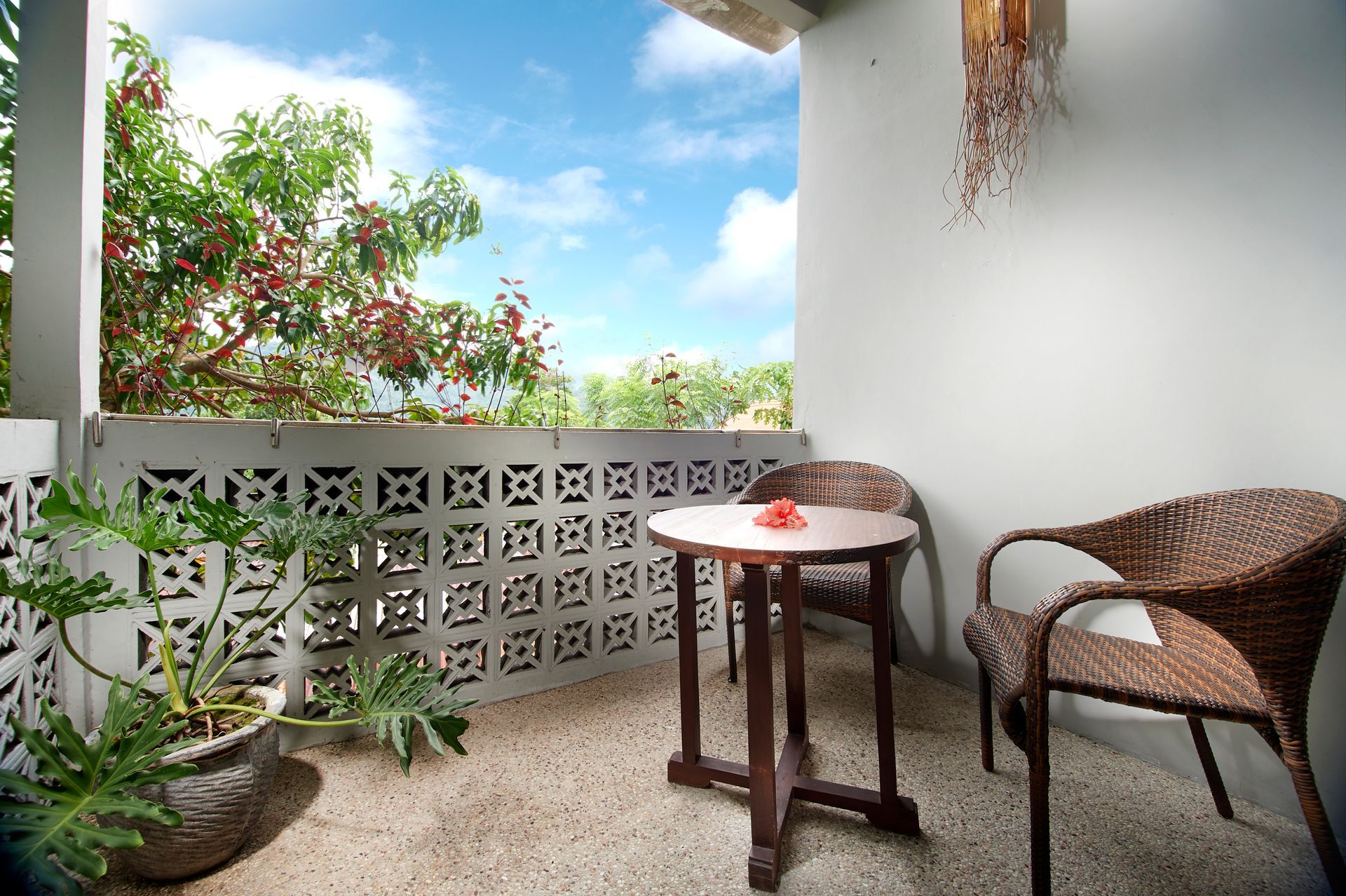 A balcony with a table and chairs and a potted plant