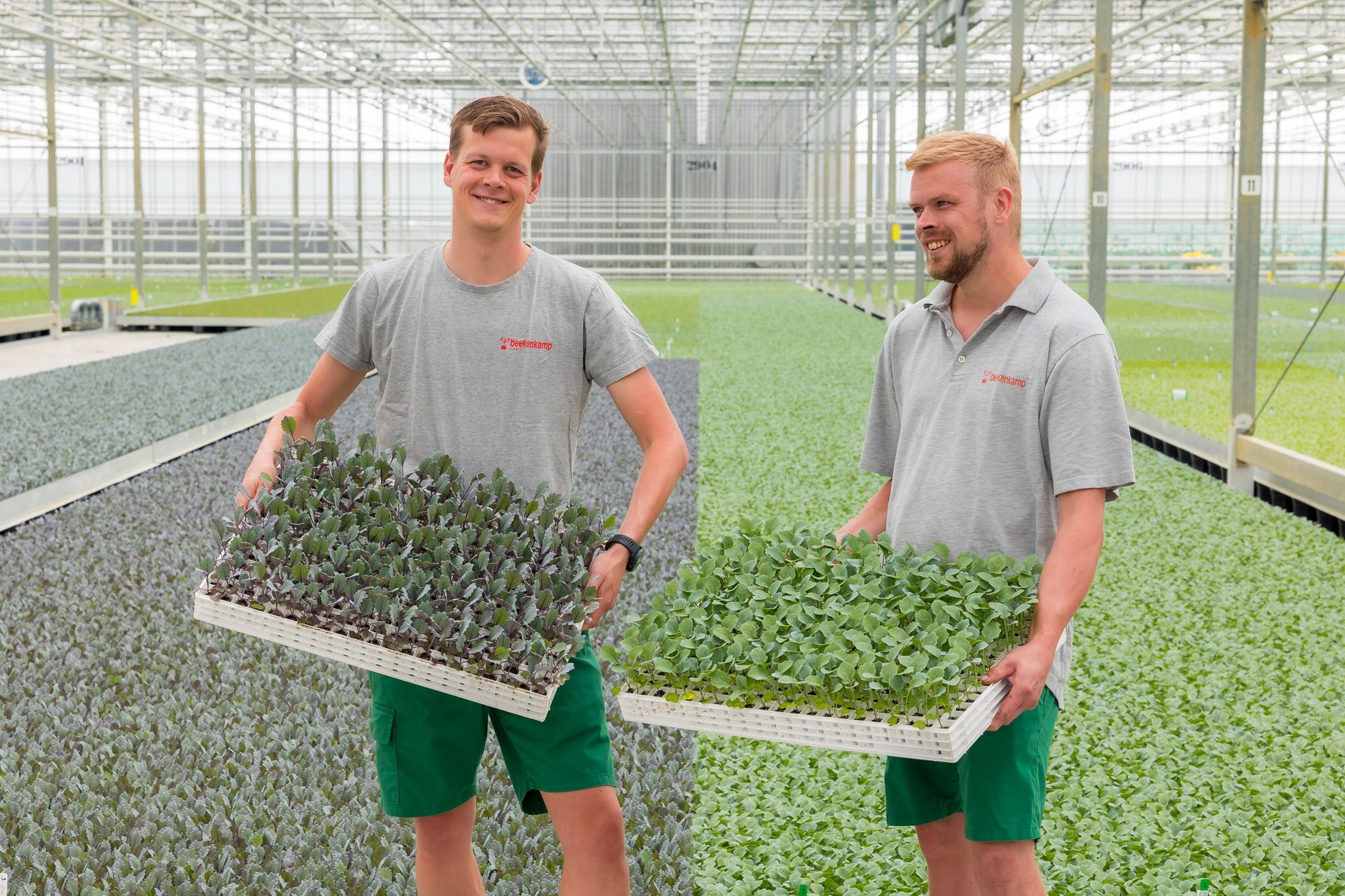 Vacature Logistiek Medewerker  - Beekenkamp | Maasdijk