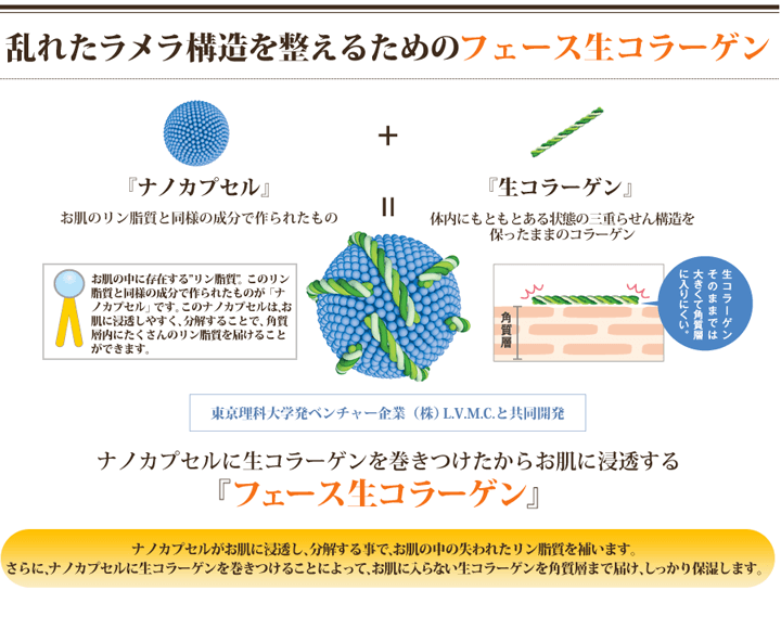 生コラーゲンコース｜上田でエステサロンをお探しなら Leeにお越し